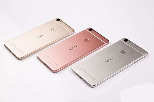 vivo.jpg